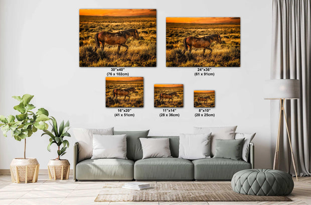 Amber Dusk Mustang - Wild Horse Photography Art - Western Sunset Prairie Wall Decor