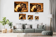 Wild Mustang Wall Art 'Sunset Splendor' - Pinto Horse Photography Print - Western Decor