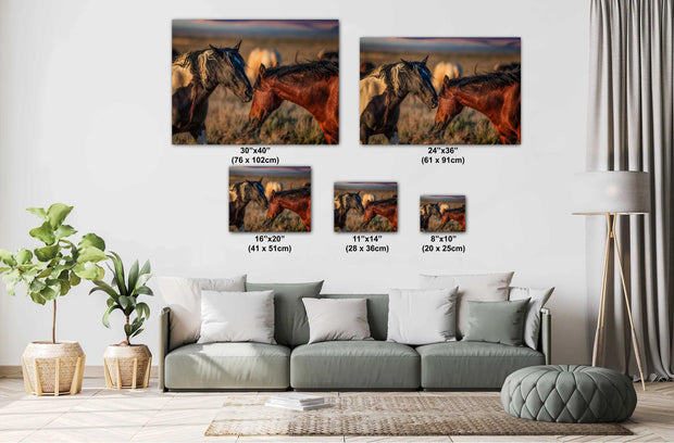 Wild Horse Photography - Sunset Whispers Canvas Print - Mustang Bond Wall Art - Western Decor