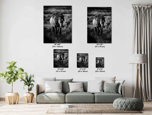 Wild Mustang Black and White Photography - 'Untamed Soul' Horse Wall Art Print Canvas