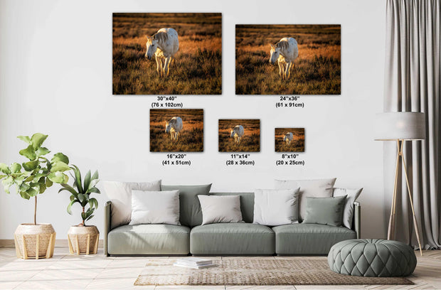 White Horse Wall Art - 'Sunset Solitude' - Canvas Print Western Wildlife Photography Rustic Decor