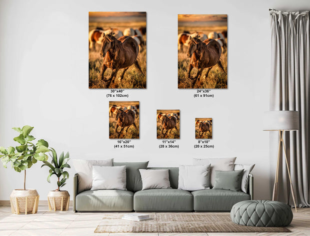 Sunset Gallop Wild Mustang Wall Art - Golden Hour Western Horse Photography - Rustic Decor