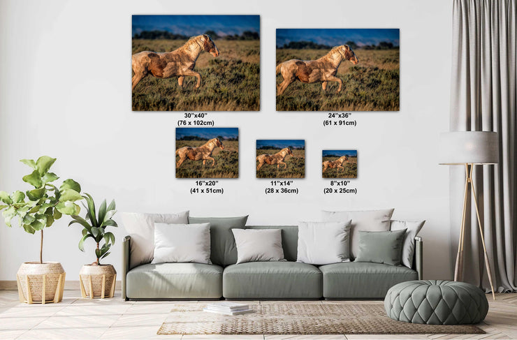 Wild Mustang Photography - 'Sunset Warrior' - Canvas Print Western Horse Wall Art Decor