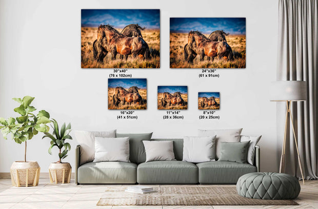 Wild Mustang Photography - 'Sunset Guardians' - Western Horse Wall Art - Rustic Home Decor