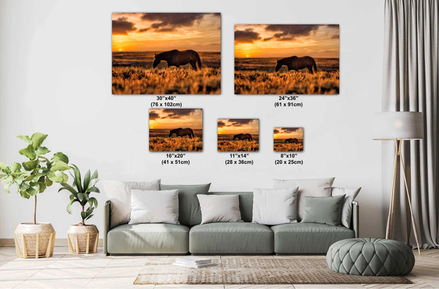 Sunset Silhouette Wild Horse Photography - Western Prairie Wall Art - Amber Horizon Decor