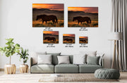 Dusk Wanderer - Wild Horse Sunset Wall Art - Western Prairie Photography - Rustic Home Decor