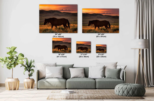 Dusk Wanderer - Wild Horse Sunset Wall Art - Western Prairie Photography - Rustic Home Decor