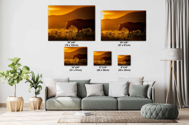Wild Horse Silhouette Wall Art - Amber Sunset - Western Landscape Photography - Rustic Home Decor
