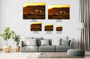 Wild Horse Photography - Amber Dusk Solitude - Pinto Mustang Canvas Art - Western Decor