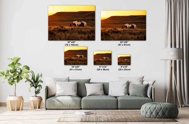 Wild Horse Photography - Amber Dusk Solitude - Pinto Mustang Canvas Art - Western Decor