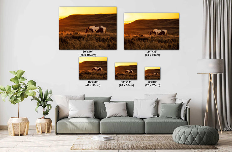 Wild Horse Photography - Amber Dusk Solitude - Pinto Mustang Canvas Art - Western Decor