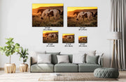 Wild Mustang Photography 'Prairie Gold' - Pinto Horse Canvas Art - Western Sunset Wall Decor
