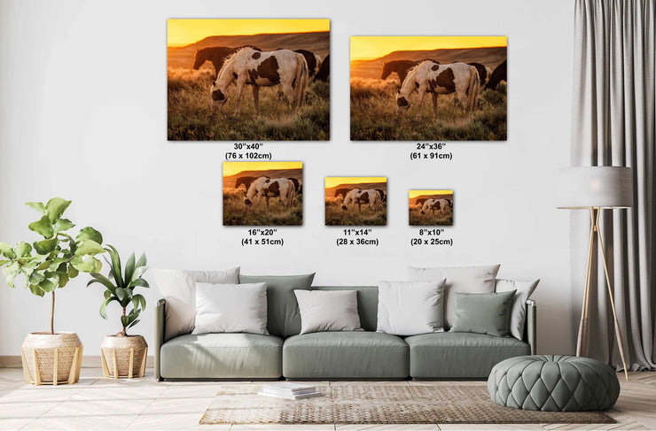 Wild Mustang Photography 'Prairie Gold' - Pinto Horse Canvas Art - Western Sunset Wall Decor