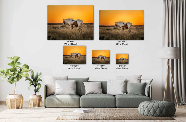 Wild Mustang Wall Art 'Amber Horizon' - Pinto Horse Photography - Western Prairie Sunset Decor