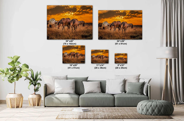 Wild Horse Photography - Amber Sunset Herd - Western Prairie Art - Mustang Wall Decor