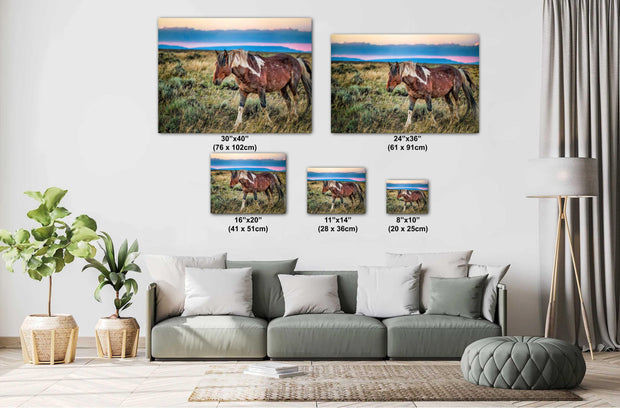 Wild Mustang Wall Art 'Dusk Wanderer' - Paint Horse Photography - Western Landscape Print