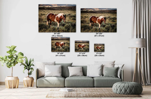 Wild Horse Wall Art 'Twilight Sentinel' - Pinto Mustang Photography - Western Decor Print Canvas