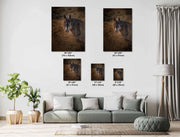 Wild Mustang Wall Art 'Dusk Sentinel' - Horse Photography Print - Rustic Western Decor