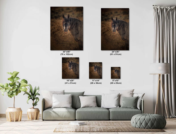 Wild Mustang Wall Art 'Dusk Sentinel' - Horse Photography Print - Rustic Western Decor
