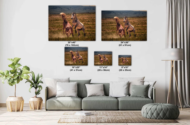 Wild Mustang Photography 'Primal Challenge' - Western Horse Wall Art - Rustic Home Decor