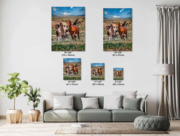 Wild Mustang Photography 'Spirit of the Plains' - Western Horse Wall Art - Rustic Home Decor