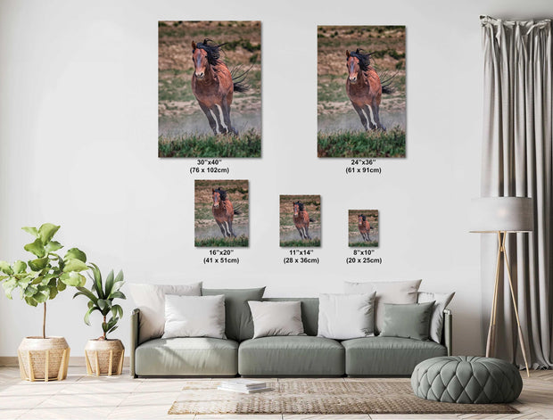 Wild Mustang Wall Art 'Windswept Freedom' - Bay Horse Photography Print - Western Decor