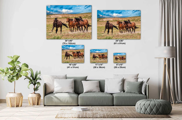 Wild Mustang Photography Wall Art "Freedom Run" - Western Horse Canvas Print - Rustic Home Decor