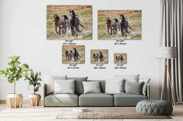 Wild Mustang Trio Photography - 'Boundless Spirit' - Horse Wall Art Canvas Print Western Decor
