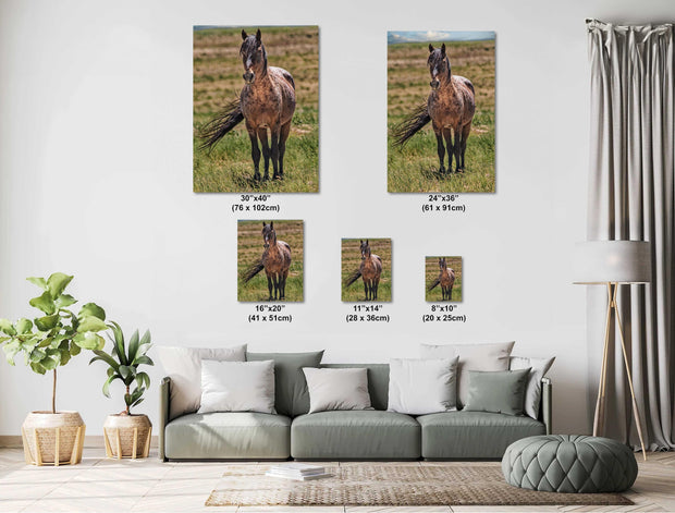 Wild Mustang Wall Art 'Windswept Freedom' - Roan Horse Photography - Western Prairie Decor
