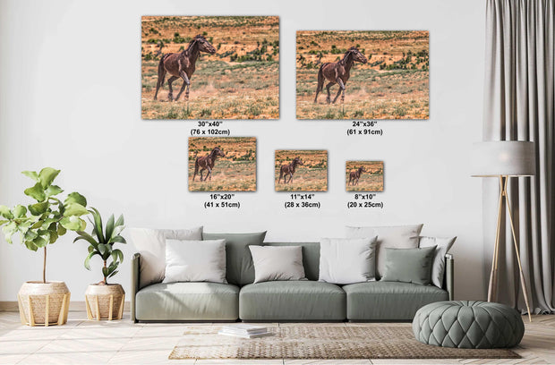 Wild Mustang Wall Art 'Freedom Run' - Dark Horse Photography Print - Western Desert Landscape Decor