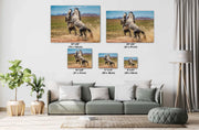 Wild Mustang Wall Art - 'Primal Dance' - Gray Horse Photography Print - Western Mountain Decor