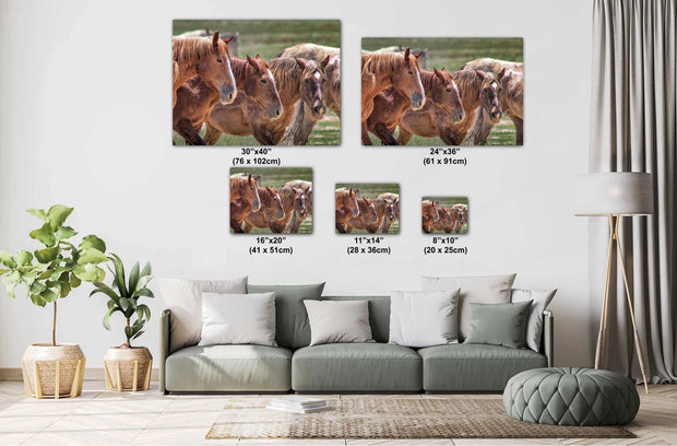 Wild Horse Photography - 'Unspoken Bond' - Western Wall Art - Mustang Herd Canvas Print