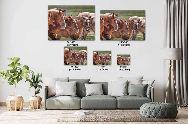 Wild Horse Photography - 'Unspoken Bond' - Western Wall Art - Mustang Herd Canvas Print