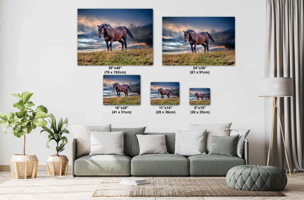 Tempest Spirit - Wild Mustang Photography - Stormy Prairie Sky - Western Horse Wall Art