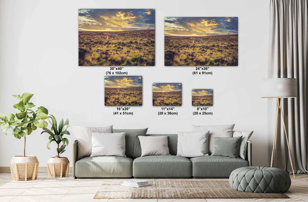 Twilight Solitude - Wild Horse Grazing on Golden Prairie - Western Sunset Photography