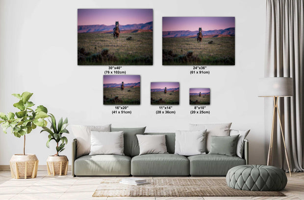 Wild Mustang Wall Art - Dusk Guardian - Western Horse Photography - Purple Sunset Decor