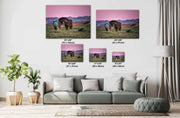 Wild Horse Photography - Tender Moment at Dusk - Western Mustang Wall Art - Equine Canvas