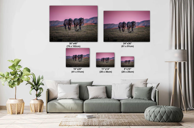 Wild Mustang Wall Art - Dusk Wanderers - Horse Photography Print - Magenta Sky Western Decor