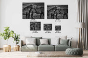 Wild Horse Photography - 'Eternal Bond' Black and White Print - Mustang Wall Art Decor