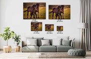 Dark Mustang Duo - Sunset Prairie Horse Photography - Rustic Western Home Decor