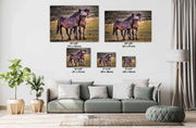 Eternal Bond - Wild Mustang Photography - Western Horse Wall Art - Rustic Home Decor