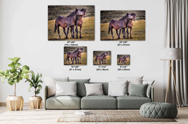 Eternal Bond - Wild Mustang Photography - Western Horse Wall Art - Rustic Home Decor