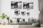 Silent Bond - Black and White Wild Horse Photography - Western Mustang Wall Art
