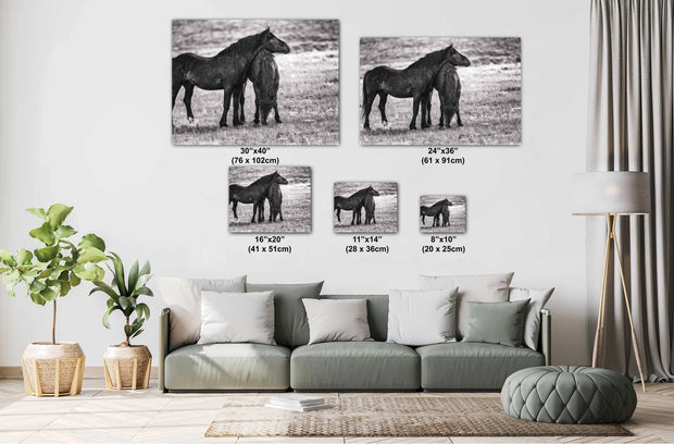 Silent Bond - Black and White Wild Horse Photography - Western Mustang Wall Art