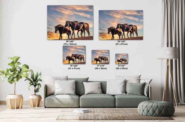 Wild Mustang Photography 'Golden Hour Herd' - Horse Wall Art - Western Sunset Decor