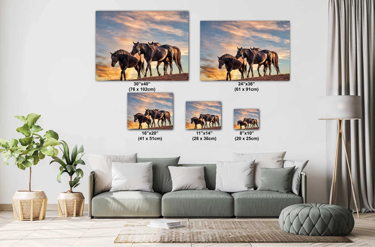 Wild Mustang Photography 'Golden Hour Herd' - Horse Wall Art - Western Sunset Decor