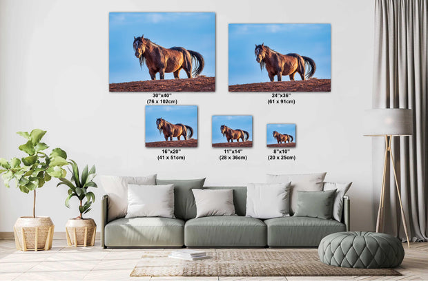 Golden Hour Mustang - Wild Horse Photography - Desert Ridgeline Wall Art - Western Decor