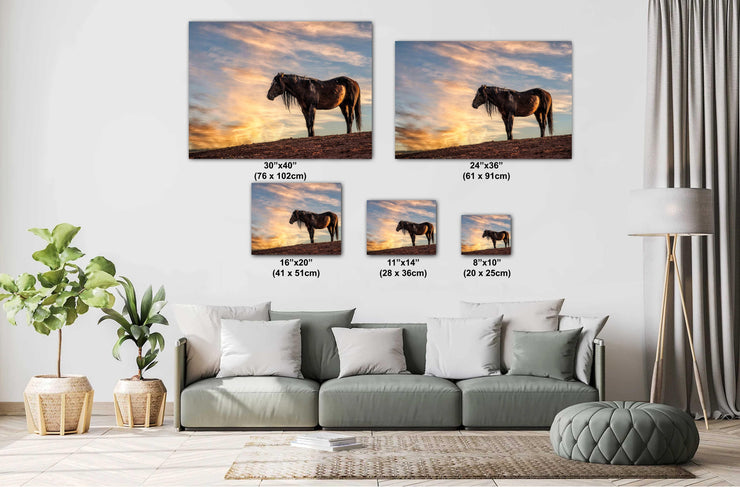 Wild Horse Photography Wall Art - 'Golden Horizon' - Mustang Silhouette Print - Western Decor