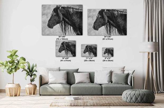 Rugged Majesty - Black and White Wild Horse Wall Art - Weathered Mustang Profile
