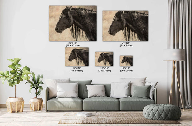 Midnight Silhouette - Vintage Black Horse Photography - Rustic Equine Wall Art Decor